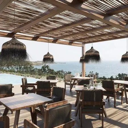 Akre - Designed For Adults ステリダ